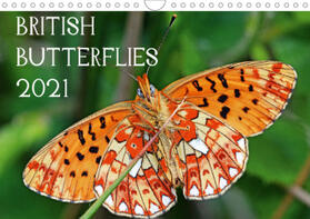 Pike |  British Butterflies 2021 (Wall Calendar 2021 DIN A4 Landscape) | Sonstiges |  Sack Fachmedien