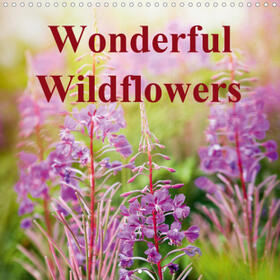 Davies |  Wonderful Wildflowers (Wall Calendar 2021 300 × 300 mm Square) | Sonstiges |  Sack Fachmedien