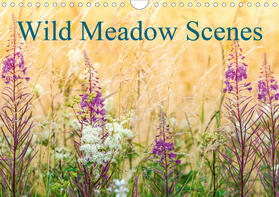 Davies |  Wild Meadow Scenes (Wall Calendar 2021 DIN A4 Landscape) | Sonstiges |  Sack Fachmedien