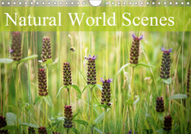 Davies | Natural World Scenes (Wall Calendar 2021 DIN A4 Landscape) | Sonstiges | 978-1-325-54888-0 | www.sack.de