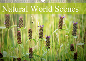 Davies |  Natural World Scenes (Wall Calendar 2021 DIN A3 Landscape) | Sonstiges |  Sack Fachmedien