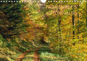 Kessler |  PROMENADES AUTOMNALES (Calendrier mural 2021 DIN A4 horizontal) | Sonstiges |  Sack Fachmedien