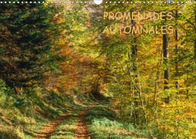 Kessler | PROMENADES AUTOMNALES (Calendrier mural 2021 DIN A3 horizontal) | Sonstiges | 978-1-325-54929-0 | www.sack.de