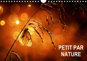 Steyaert |  Petit par Nature (Calendrier mural 2021 DIN A4 horizontal) | Sonstiges |  Sack Fachmedien