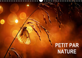 Steyaert |  Petit par Nature (Calendrier mural 2021 DIN A3 horizontal) | Sonstiges |  Sack Fachmedien