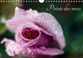 Mocanu |  Poésie des roses (Calendrier mural 2021 DIN A4 horizontal) | Sonstiges |  Sack Fachmedien