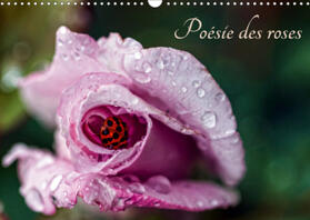 Mocanu | Poésie des roses (Calendrier mural 2021 DIN A3 horizontal) | Sonstiges | 978-1-325-55075-3 | www.sack.de