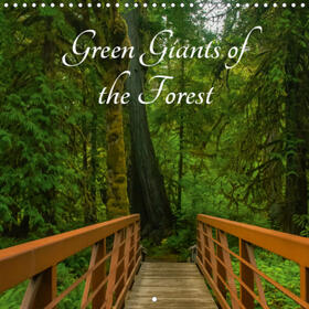 Metzke |  Green Giants of the Forest (Wall Calendar 2021 300 × 300 mm Square) | Sonstiges |  Sack Fachmedien