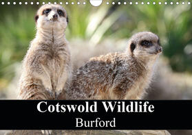 Grainge |  Cotswold Wildlife Burford (Wall Calendar 2021 DIN A4 Landscape) | Sonstiges |  Sack Fachmedien