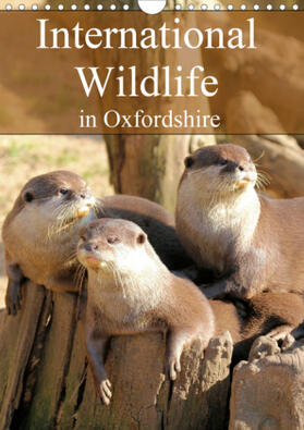 Grainge |  International Wildlife in Oxfordshire (Wall Calendar 2021 DIN A4 Portrait) | Sonstiges |  Sack Fachmedien