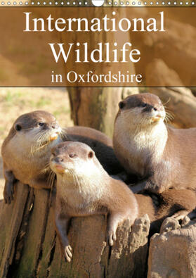 Grainge |  International Wildlife in Oxfordshire (Wall Calendar 2021 DIN A3 Portrait) | Sonstiges |  Sack Fachmedien