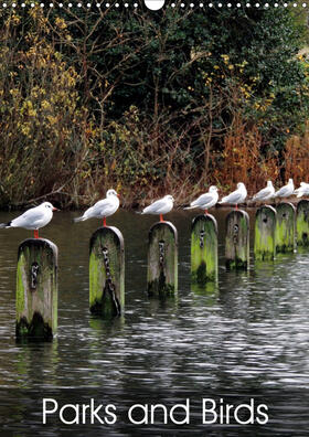 Ferraz | Parks and Birds (Wall Calendar 2021 DIN A3 Portrait) | Sonstiges | 978-1-325-56412-5 | www.sack.de
