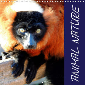 Ferraz |  Animal nature (Wall Calendar 2021 300 × 300 mm Square) | Sonstiges |  Sack Fachmedien