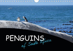 Poole |  Penguins of South Africa (Wall Calendar 2021 DIN A4 Landscape) | Sonstiges |  Sack Fachmedien