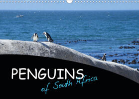 Poole |  Penguins of South Africa (Wall Calendar 2021 DIN A3 Landscape) | Sonstiges |  Sack Fachmedien