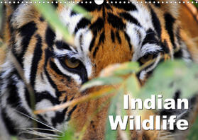 Bergermann |  Indian Wildlife (Wall Calendar 2021 DIN A3 Landscape) | Sonstiges |  Sack Fachmedien