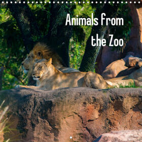 Russell |  Animals from the Zoo (Wall Calendar 2021 300 × 300 mm Square) | Sonstiges |  Sack Fachmedien