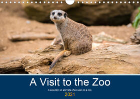 Russell |  A Visit to the Zoo (Wall Calendar 2021 DIN A4 Landscape) | Sonstiges |  Sack Fachmedien