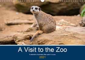 Russell |  A Visit to the Zoo (Wall Calendar 2021 DIN A3 Landscape) | Sonstiges |  Sack Fachmedien