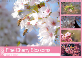 Hackstein | Fine Cherry Blossoms (Wall Calendar 2021 DIN A3 Landscape) | Sonstiges | 978-1-325-57427-8 | www.sack.de