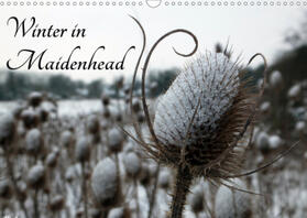 Hol |  Winter in Maidenhead (Wall Calendar 2021 DIN A3 Landscape) | Sonstiges |  Sack Fachmedien