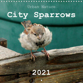 Schilling |  City Sparrows (Wall Calendar 2021 300 × 300 mm Square) | Sonstiges |  Sack Fachmedien
