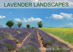Hellier |  Lavender Landscapes (Wall Calendar 2021 DIN A3 Landscape) | Sonstiges |  Sack Fachmedien