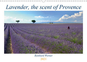Werner |  Lavender, the scent of Provence (Wall Calendar 2021 DIN A3 Landscape) | Sonstiges |  Sack Fachmedien