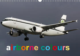 Stevens |  airborne colours (Wall Calendar 2021 DIN A3 Landscape) | Sonstiges |  Sack Fachmedien