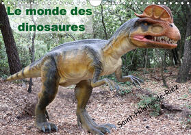 Casaert |  Le monde des dinosaures (Calendrier mural 2021 DIN A4 horizontal) | Sonstiges |  Sack Fachmedien