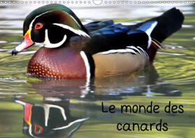 Casaert |  Le monde des canards (Calendrier mural 2021 DIN A3 horizontal) | Sonstiges |  Sack Fachmedien