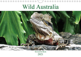 Beck |  Wild Australia (Wall Calendar 2021 DIN A4 Landscape) | Sonstiges |  Sack Fachmedien