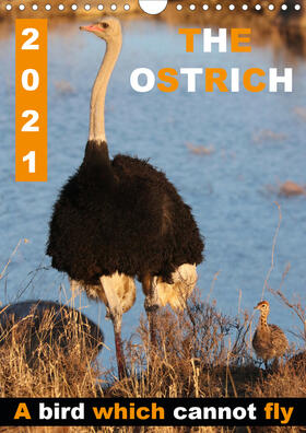 Fraatz |  THE OSTRICH  A bird which cannot fly (Wall Calendar 2021 DIN A4 Portrait) | Sonstiges |  Sack Fachmedien