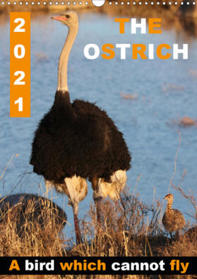 Fraatz |  THE OSTRICH  A bird which cannot fly (Wall Calendar 2021 DIN A3 Portrait) | Sonstiges |  Sack Fachmedien