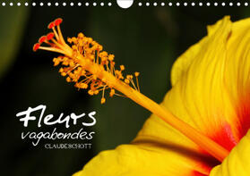 Schott |  Fleurs vagabondes (Calendrier mural 2021 DIN A4 horizontal) | Sonstiges |  Sack Fachmedien
