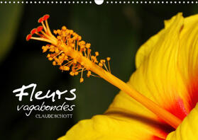 Schott |  Fleurs vagabondes (Calendrier mural 2021 DIN A3 horizontal) | Sonstiges |  Sack Fachmedien