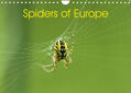 Schäfer |  Schäfer, O: Spiders of Europe (Wall Calendar 2023 DIN A4 Lan | Sonstiges |  Sack Fachmedien