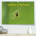 Schäfer |  Schäfer, O: Spiders of Europe (Premium, hochwertiger DIN A2 | Sonstiges |  Sack Fachmedien