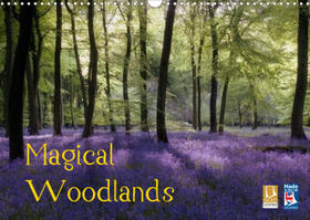 Jones | Jones, C: Magical Woodlands (Wall Calendar 2023 DIN A3 Lands | Sonstiges | 978-1-325-76647-5 | sack.de