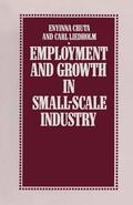 Chuta / Liedholm |  Employment and Growth in Small-Scale Industry | Buch |  Sack Fachmedien