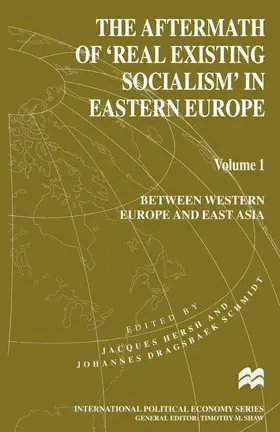Hersh / Schmidt |  The Aftermath of 'Real Existing Socialism' in Eastern Europe | Buch |  Sack Fachmedien