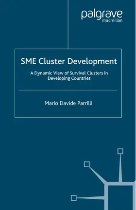 Parrilli |  Sme Cluster Development | Buch |  Sack Fachmedien
