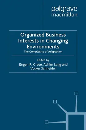 Grote / Lang / Schneider |  Organized Business Interests in Changing Environments | Buch |  Sack Fachmedien