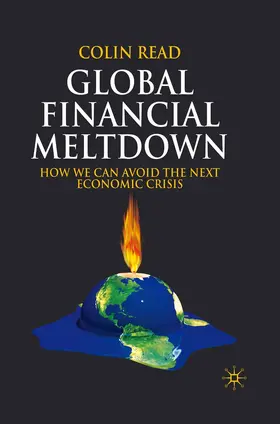 Read |  Global Financial Meltdown | Buch |  Sack Fachmedien