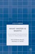 Russo / Smith |  What Water Is Worth: Overlooked Non-Economic Value in Water Resources | Buch |  Sack Fachmedien