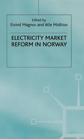 Magnus / Midttun |  Electricity Market Reform in Norway | Buch |  Sack Fachmedien
