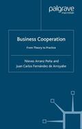 Peña / Arroyabe / Fernández de Arroyabe |  Business Cooperation | Buch |  Sack Fachmedien
