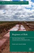 Hatcher |  Regimes of Risk | Buch |  Sack Fachmedien