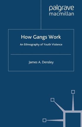 Densley | How Gangs Work | Buch | 978-1-349-44461-8 | sack.de