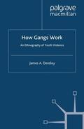 Densley |  How Gangs Work | Buch |  Sack Fachmedien